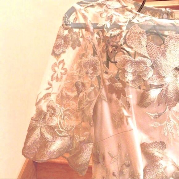 ADRIANNA PAPELL ROSE QUART LONG ILLUSION MESH DRESS 8 NWT - Picture 13 of 16